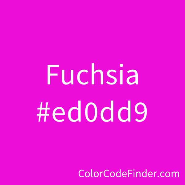 Fuchsia